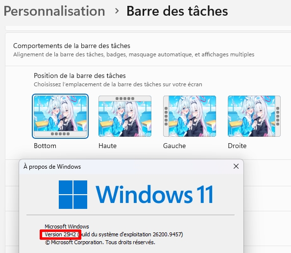 https://rehost.diberie.com/Picture/Get/f/548176