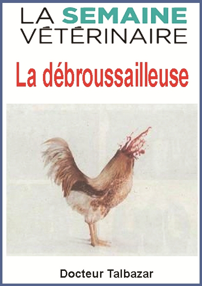 https://rehost.diberie.com/Picture/Get/f/563921