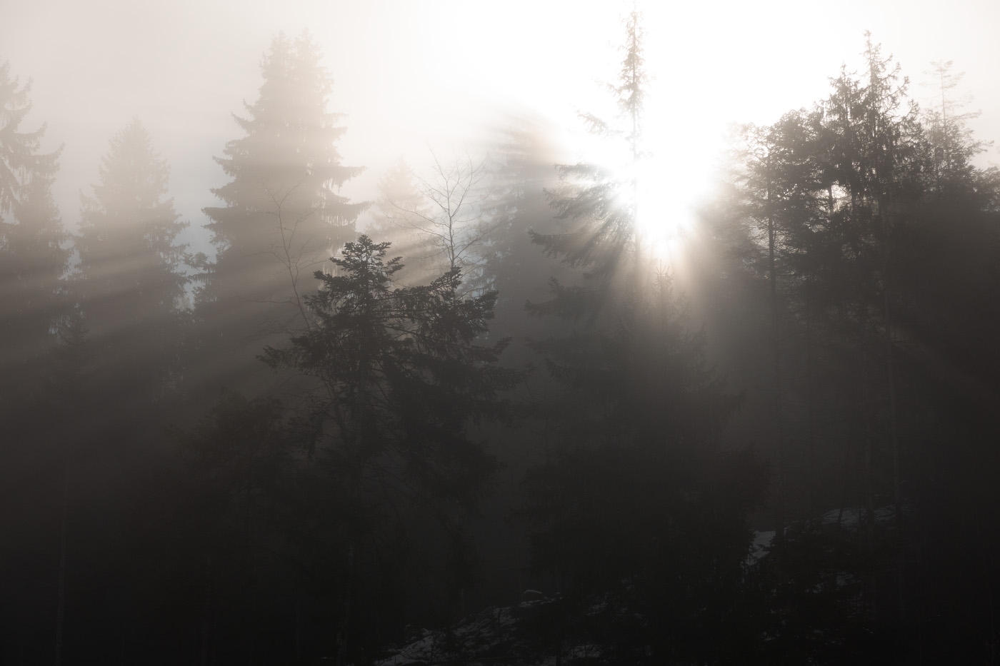 https://rehost.diberie.com/Picture/Get/f/60834