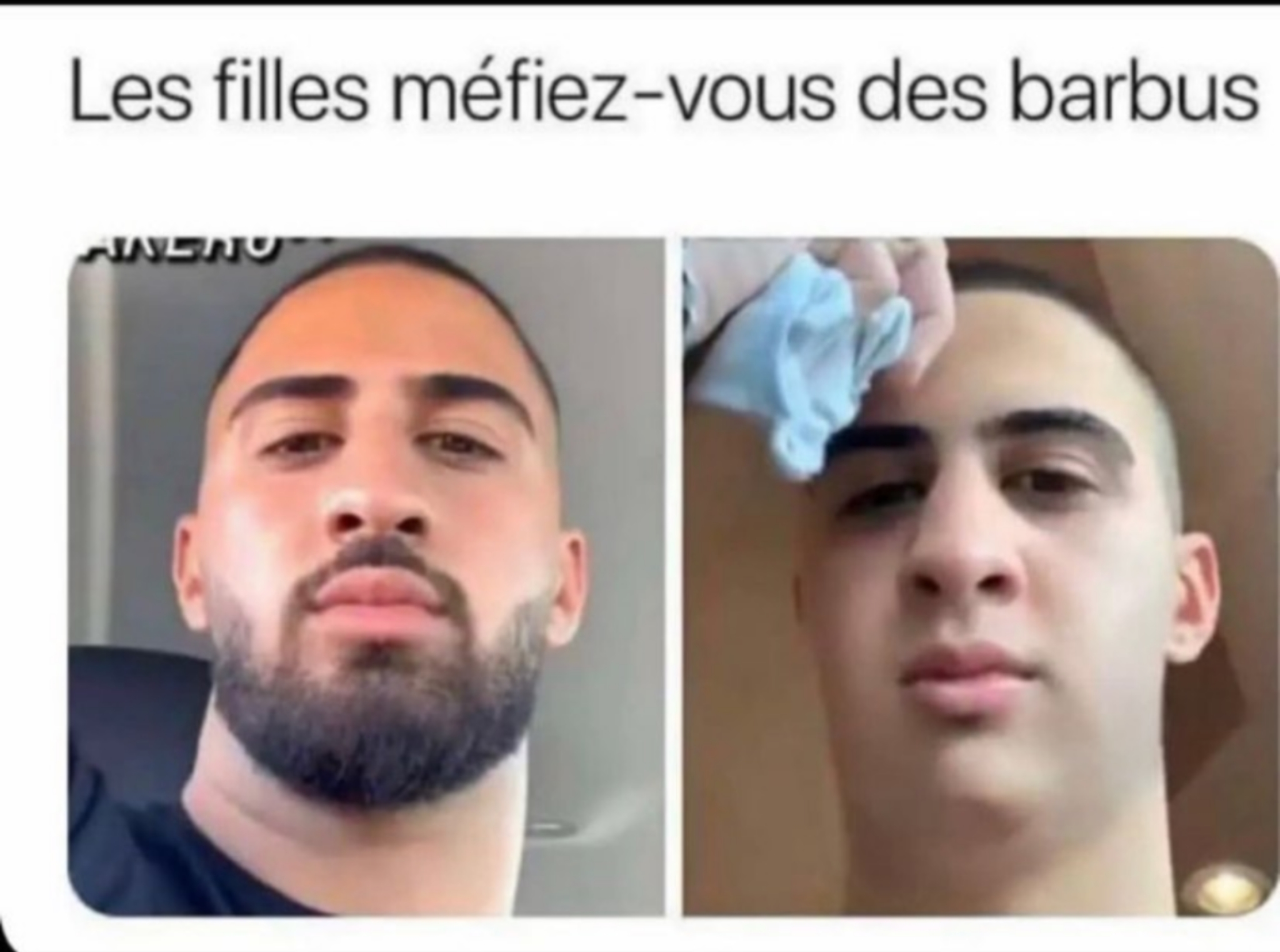 https://rehost.diberie.com/Picture/Get/f/62246