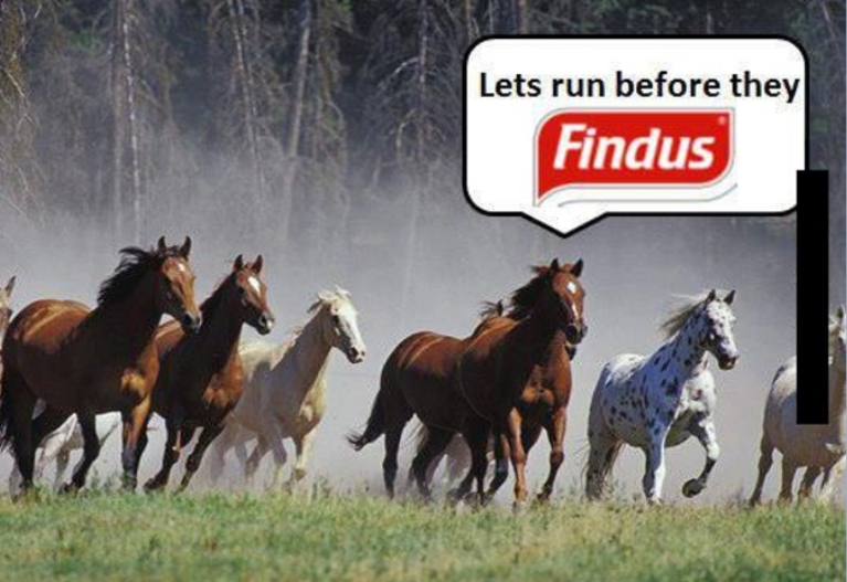 https://rehost.diberie.com/Picture/Get/f/63190