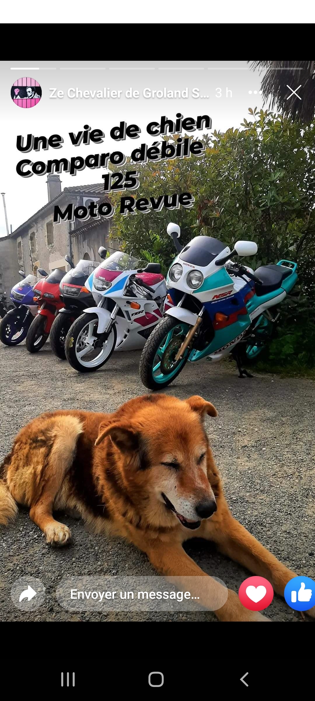 https://rehost.diberie.com/Picture/Get/f/71052