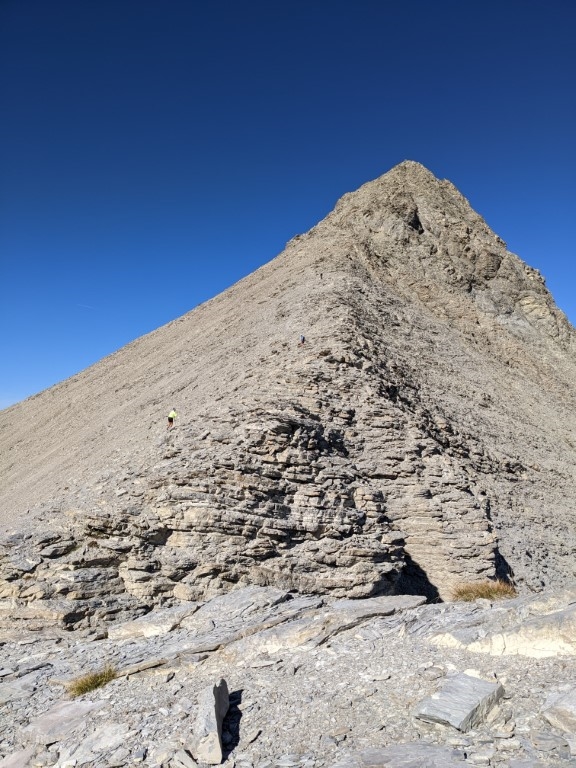 https://rehost.diberie.com/Picture/Get/f/89240