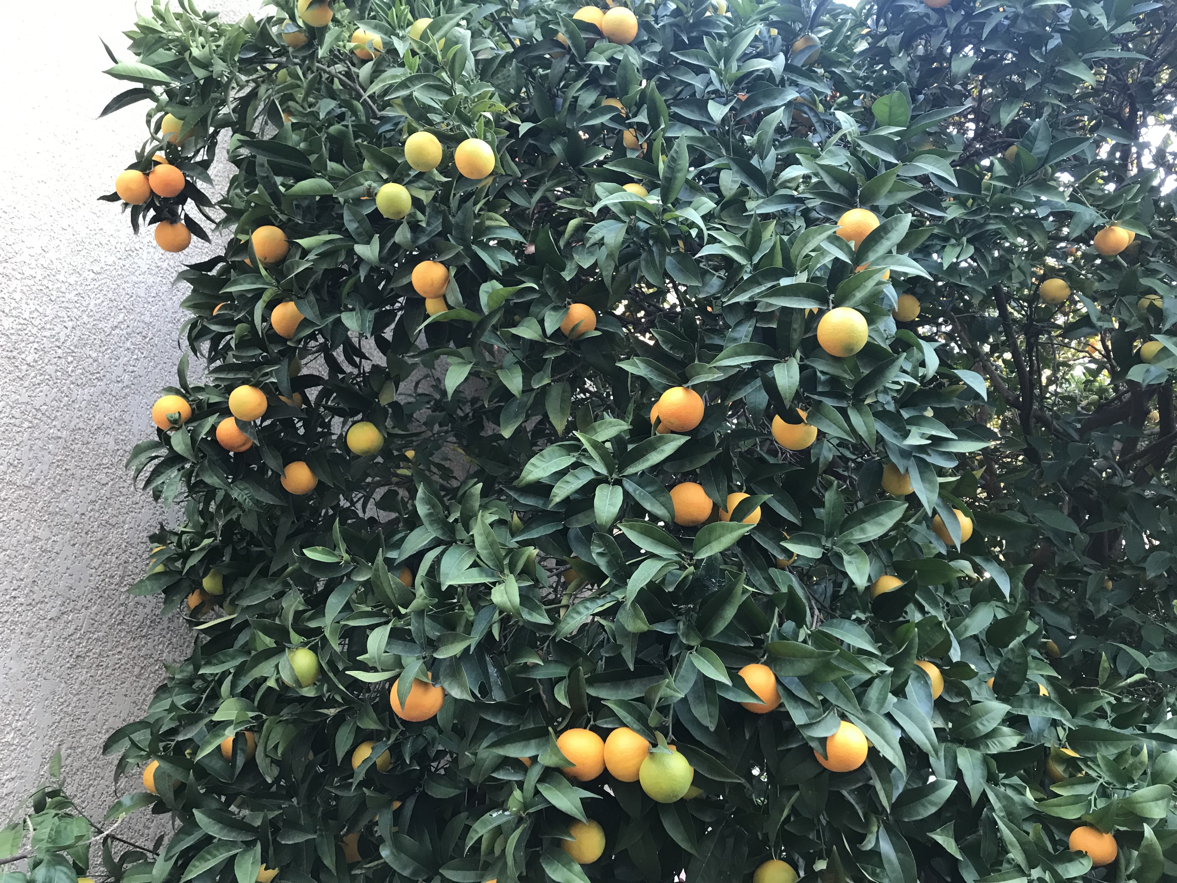 https://rehost.diberie.com/Picture/Get/f/93300