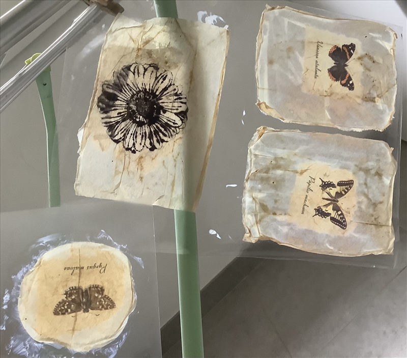 https://rehost.diberie.com/Picture/Get/r/111801