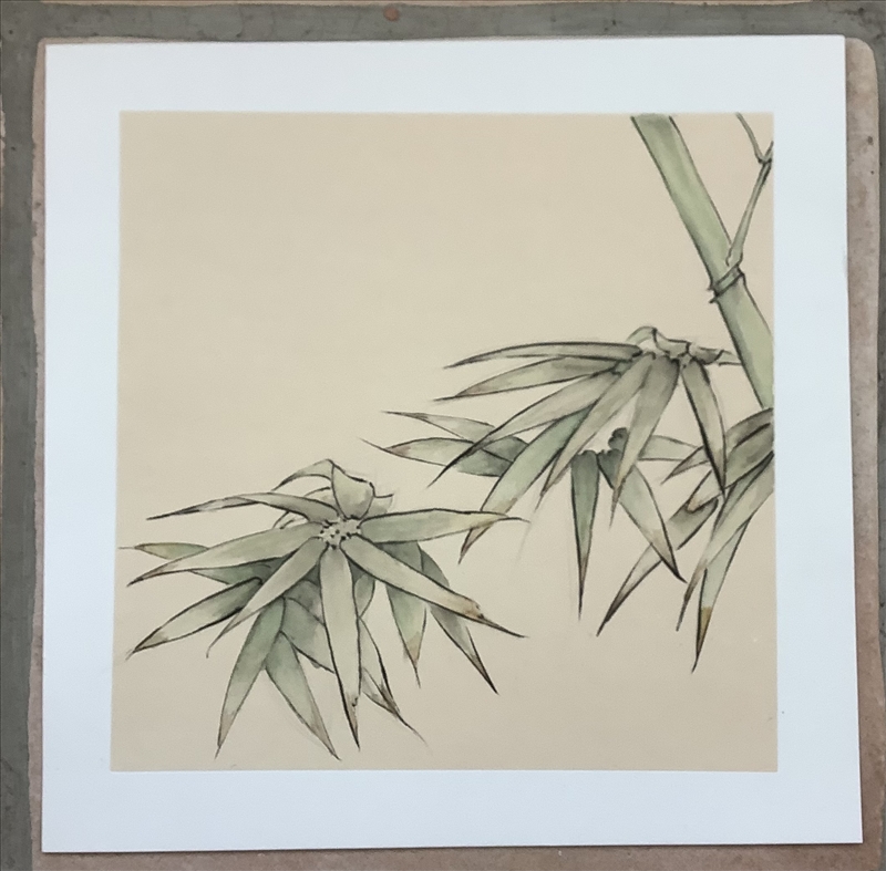 https://rehost.diberie.com/Picture/Get/r/151256
