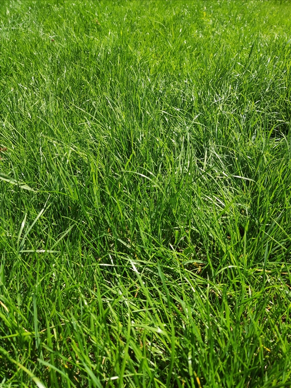 https://rehost.diberie.com/Picture/Get/r/200596