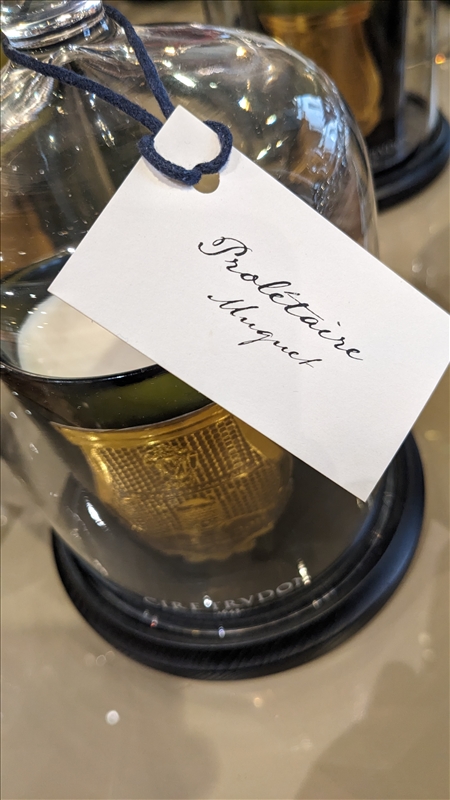 https://rehost.diberie.com/Picture/Get/r/219781