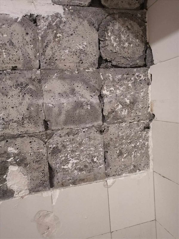 https://rehost.diberie.com/Picture/Get/r/250178