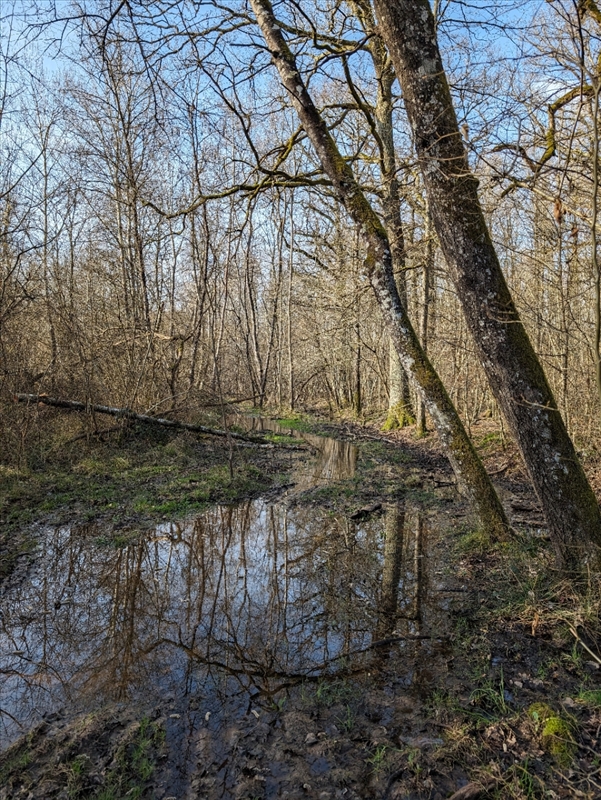 https://rehost.diberie.com/Picture/Get/r/255104