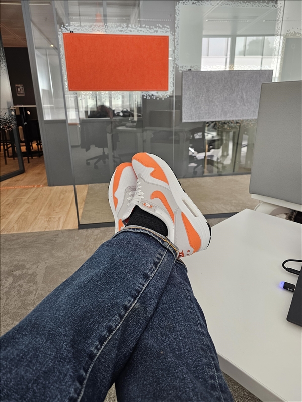 https://rehost.diberie.com/Picture/Get/r/263223