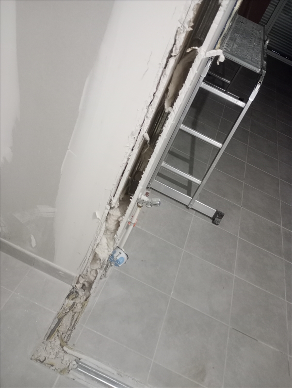 https://rehost.diberie.com/Picture/Get/r/275448