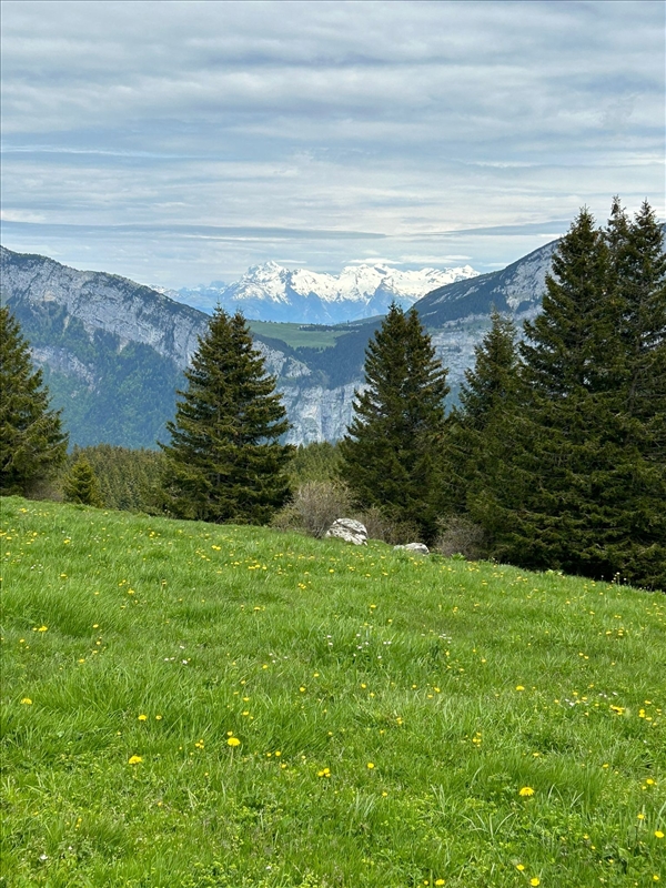 https://rehost.diberie.com/Picture/Get/r/279048