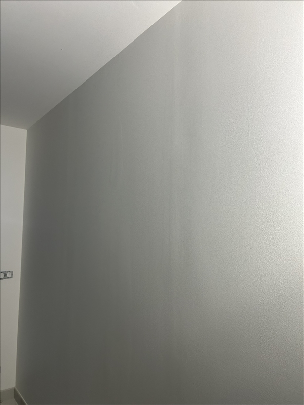 https://rehost.diberie.com/Picture/Get/r/293326