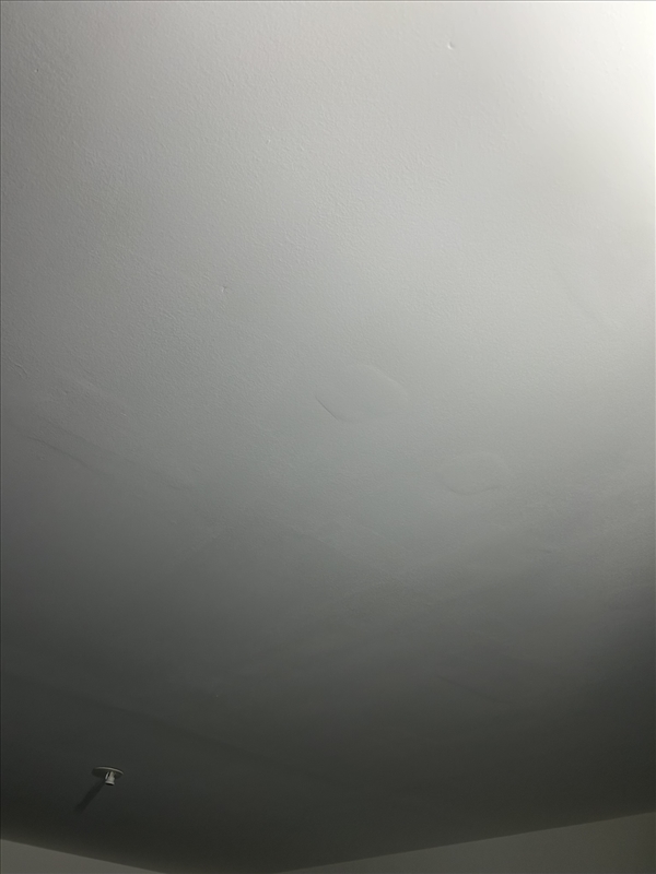 https://rehost.diberie.com/Picture/Get/r/293327