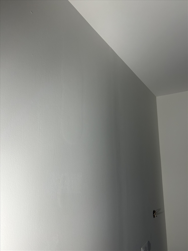 https://rehost.diberie.com/Picture/Get/r/293328