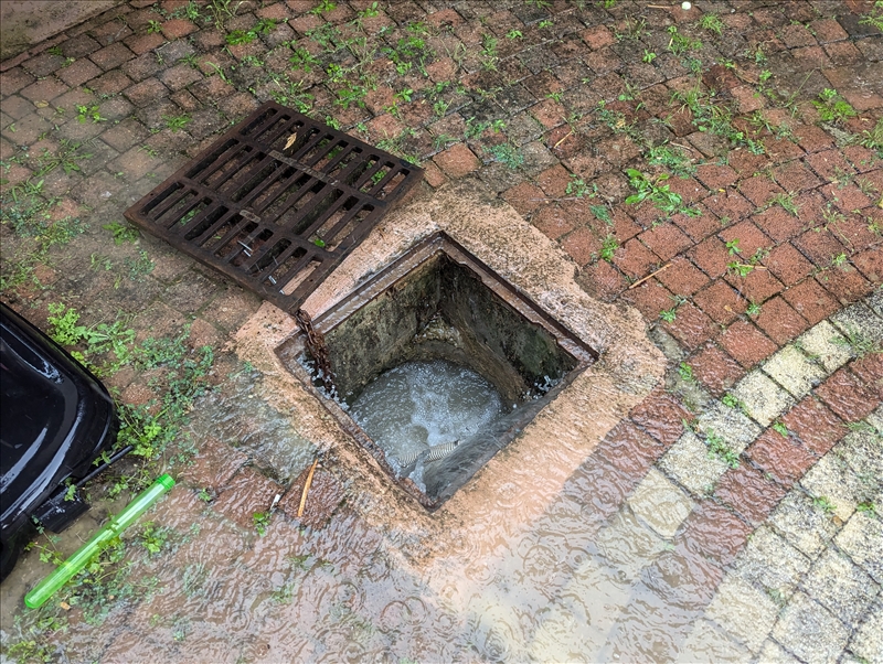 https://rehost.diberie.com/Picture/Get/r/296852