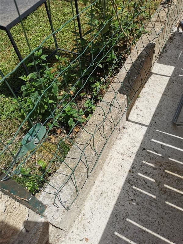https://rehost.diberie.com/Picture/Get/r/296860