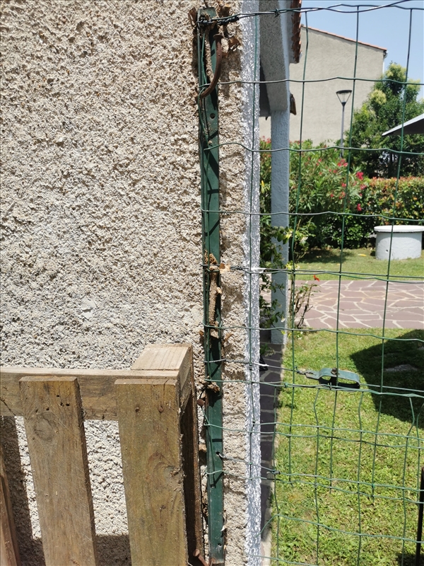 https://rehost.diberie.com/Picture/Get/r/296863