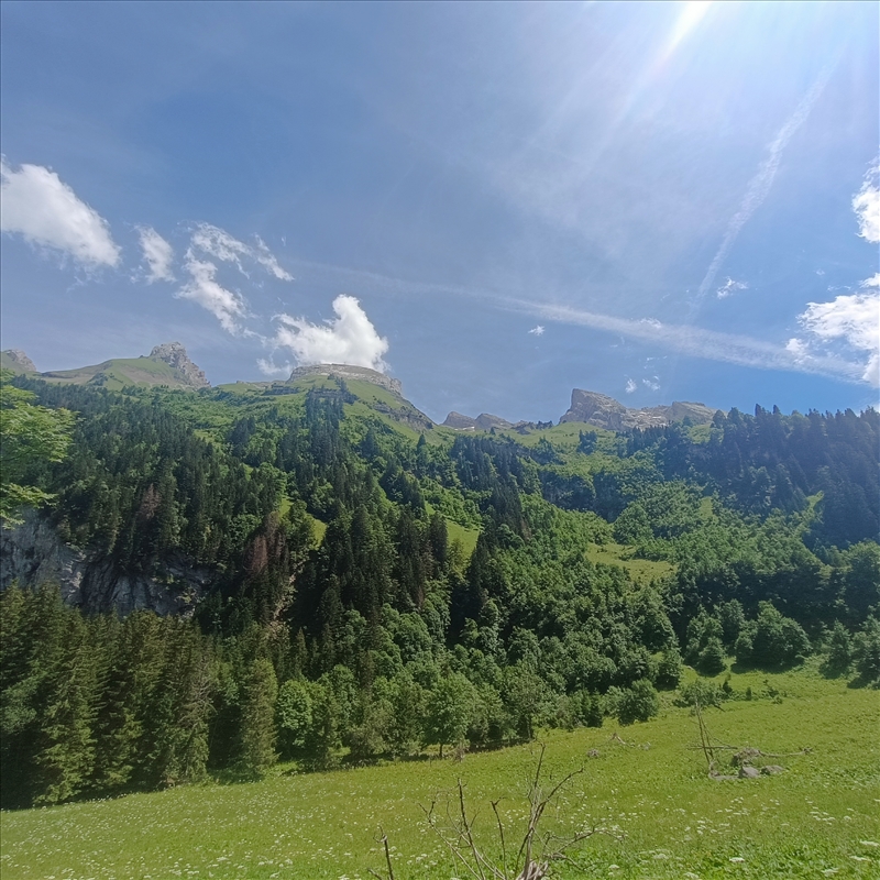 https://rehost.diberie.com/Picture/Get/r/300654