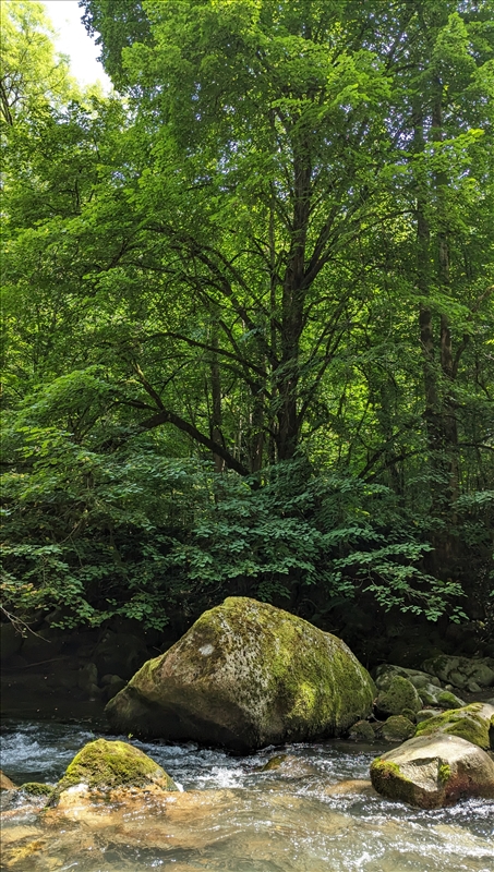 https://rehost.diberie.com/Picture/Get/r/301205