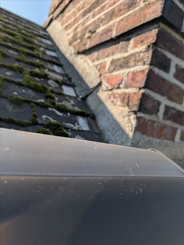 https://rehost.diberie.com/Picture/Get/r/323306
