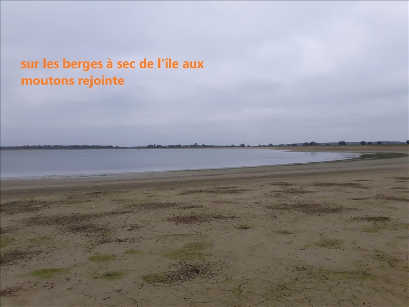 https://rehost.diberie.com/Picture/Get/r/328760