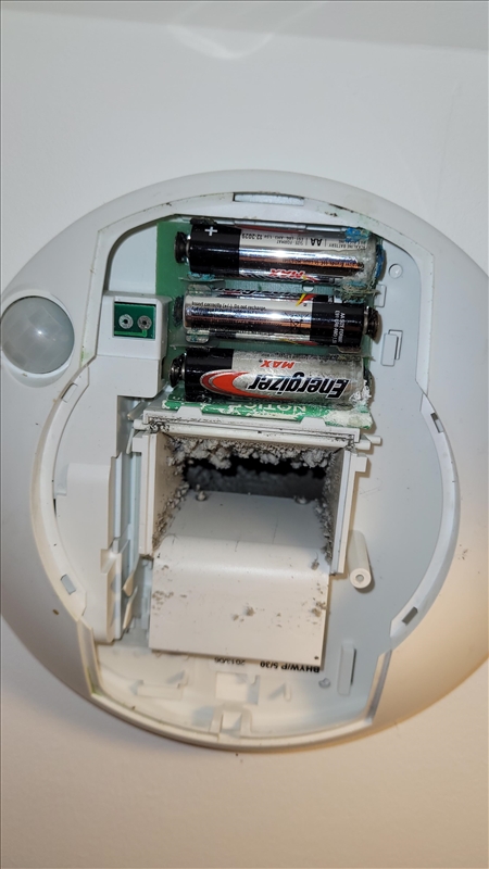 https://rehost.diberie.com/Picture/Get/r/329901