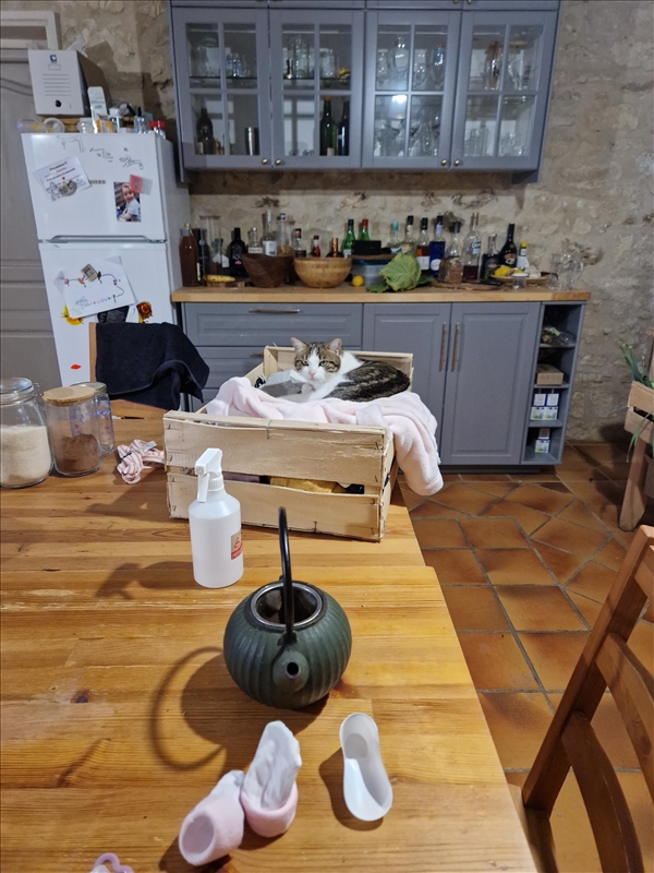 https://rehost.diberie.com/Picture/Get/r/331948