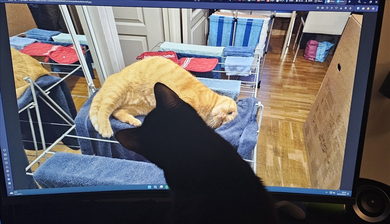 https://rehost.diberie.com/Picture/Get/r/332856