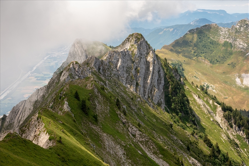 https://rehost.diberie.com/Picture/Get/r/341015