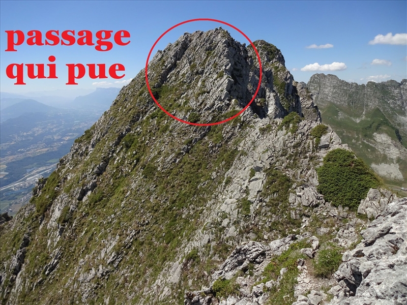 https://rehost.diberie.com/Picture/Get/r/341077