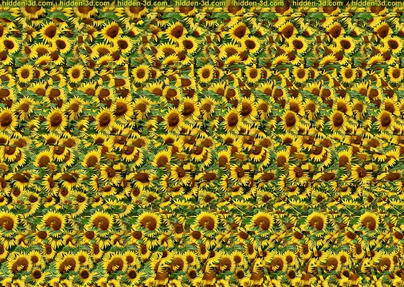 https://rehost.diberie.com/Picture/Get/r/387676