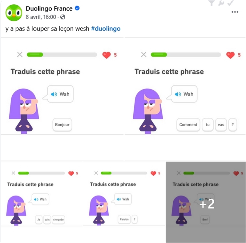 https://rehost.diberie.com/Picture/Get/r/391913