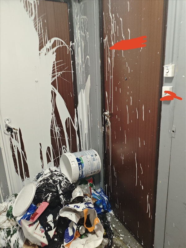 https://rehost.diberie.com/Picture/Get/r/392476