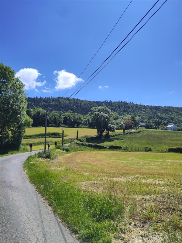 https://rehost.diberie.com/Picture/Get/r/397079