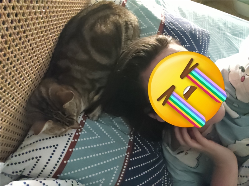 https://rehost.diberie.com/Picture/Get/r/397410