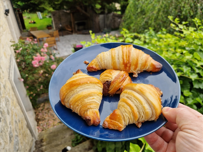https://rehost.diberie.com/Picture/Get/r/398426