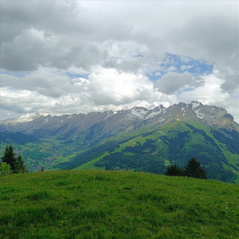 https://rehost.diberie.com/Picture/Get/r/398662
