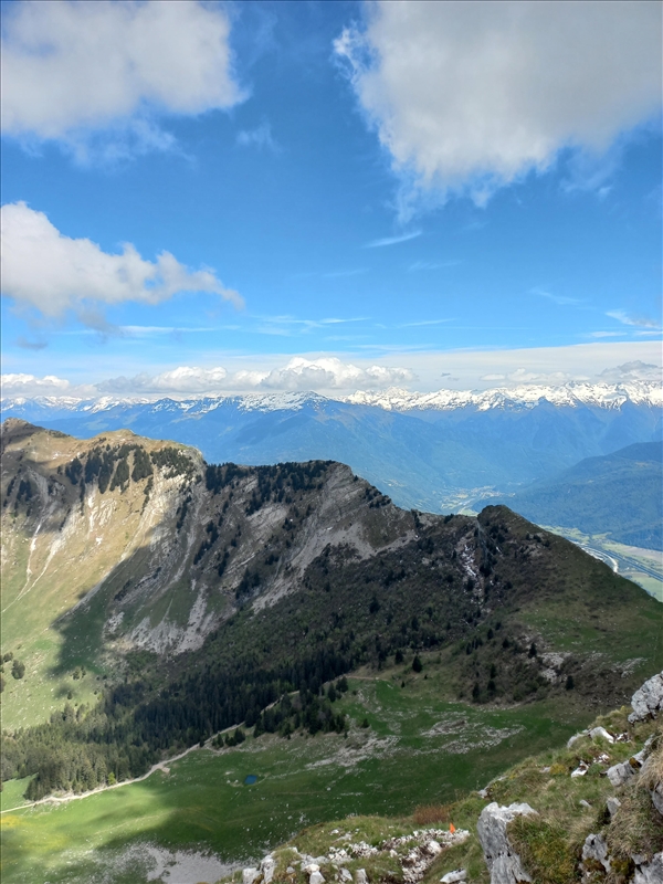 https://rehost.diberie.com/Picture/Get/r/403167