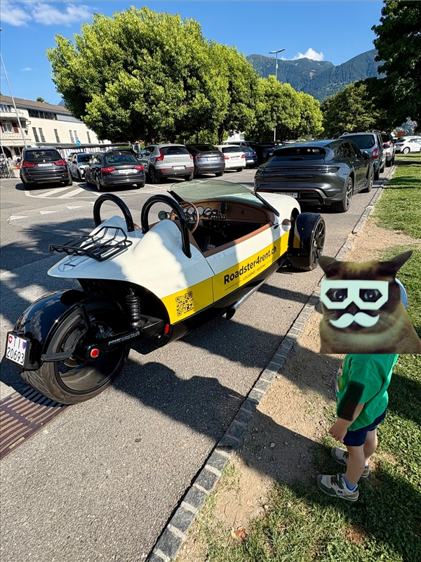 https://rehost.diberie.com/Picture/Get/r/427416