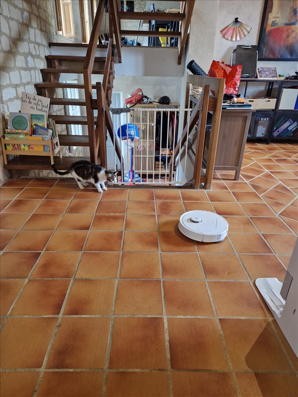 https://rehost.diberie.com/Picture/Get/r/433452