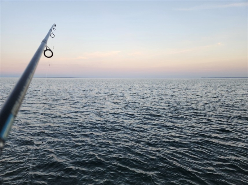 https://rehost.diberie.com/Picture/Get/r/435366