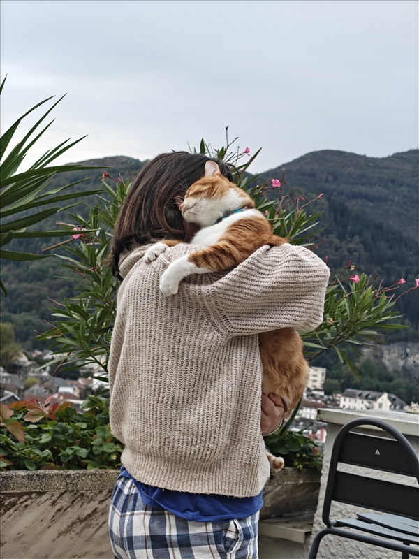 https://rehost.diberie.com/Picture/Get/r/436818