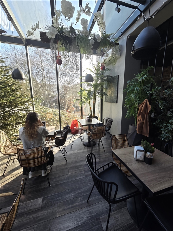 https://rehost.diberie.com/Picture/Get/r/475670