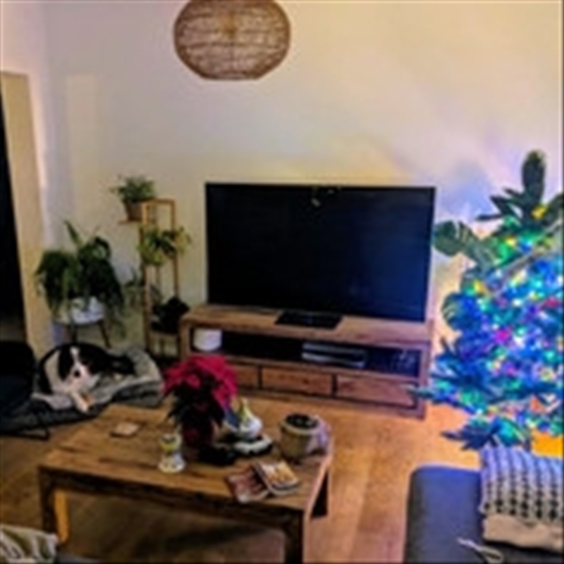 https://rehost.diberie.com/Picture/Get/r/475752