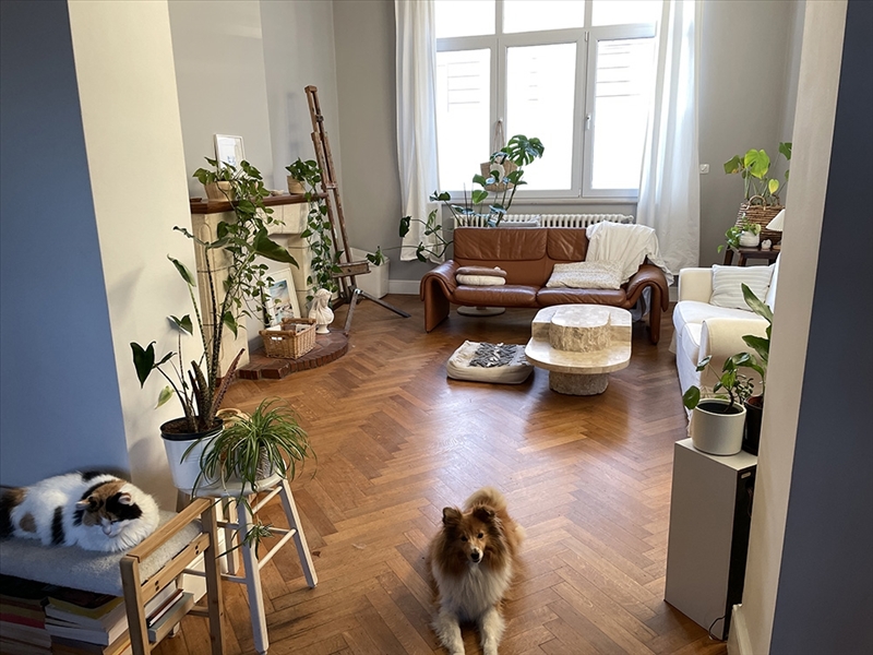 https://rehost.diberie.com/Picture/Get/r/475753