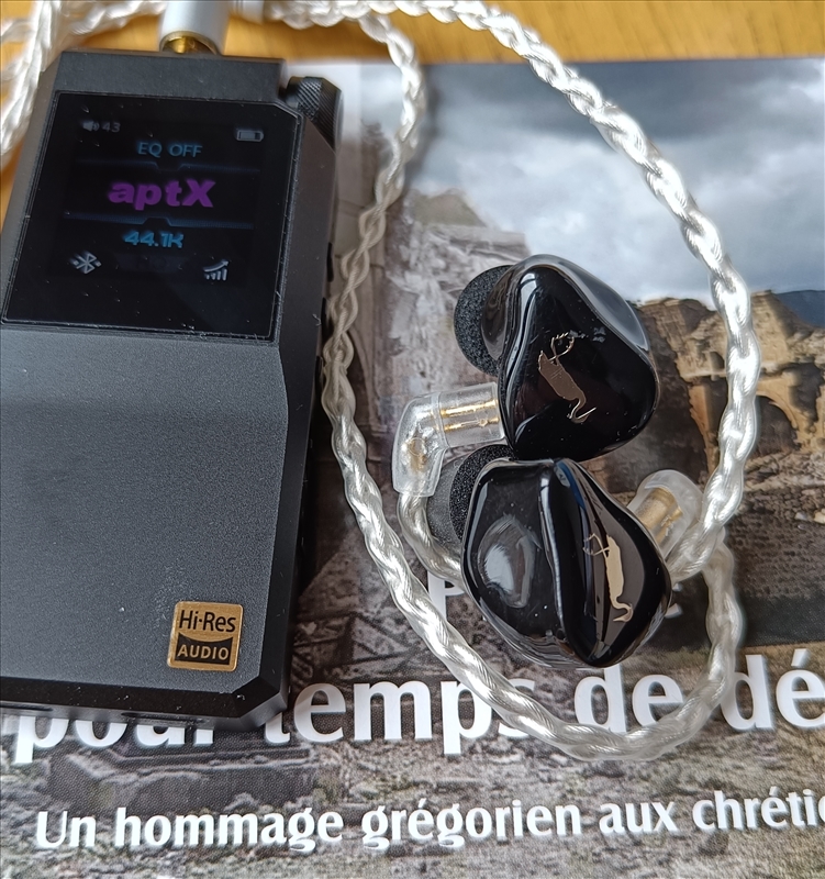https://rehost.diberie.com/Picture/Get/r/488049