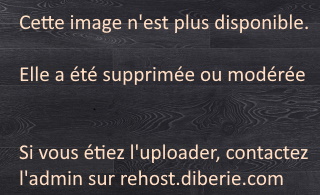 https://rehost.diberie.com/Picture/Get/r/501247
