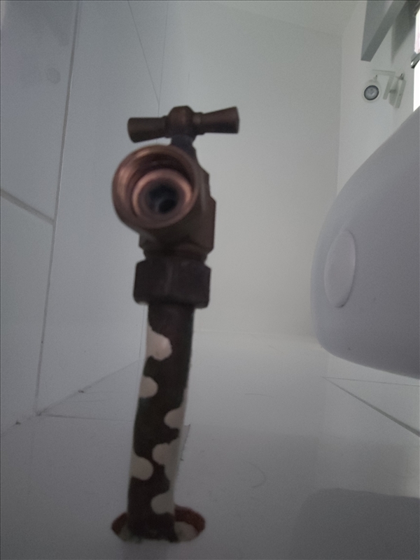 https://rehost.diberie.com/Picture/Get/r/507043